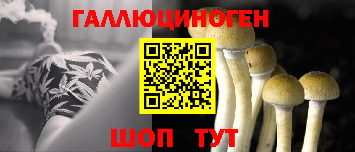 Галлюциногенные грибы GOLDEN TEACHER  Псилоцибиновые грибы мицелий  Клин  Вход с VPN 