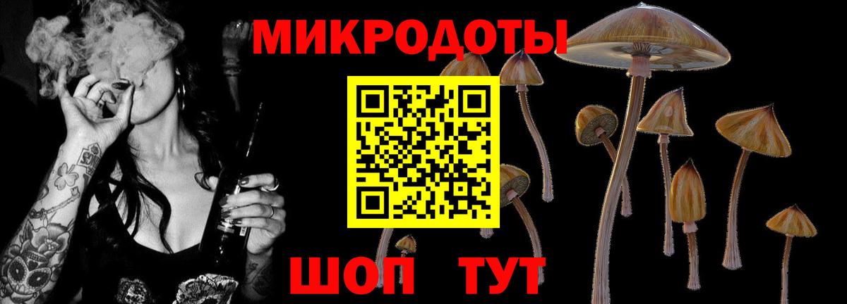 Псилоцибиновые грибы GOLDEN TEACHER Клин